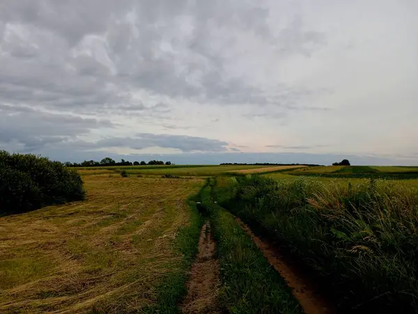 stock image The winding country road stretches along the hills in beautiful fields, skirting the hills with sharp turns and stretching far beyond the horizon.