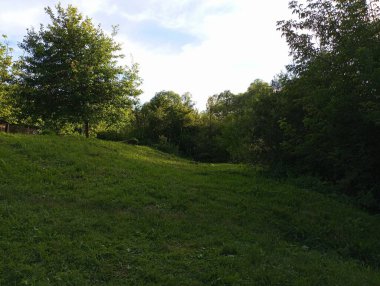 Üzerinde yeşil söğütlerin yetiştiği çimleri biçilmiş küçük bir çim tepesi. Doğada dinlenmek için güzel bir yer..