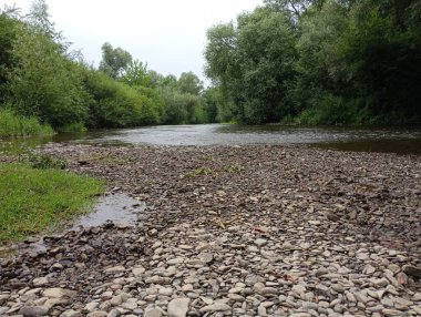 Küçük taşlardan ve temiz sudan oluşan güzel bir nehir. Ağaçlarla kaplı sığ sularla dolu nehir kıyıları.