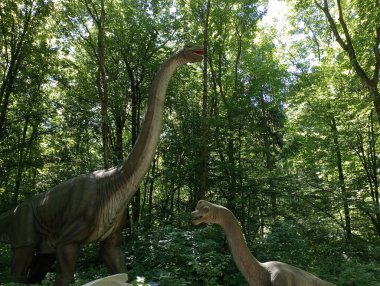 Lviv, Ukrayna, Lunapark 