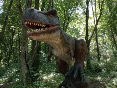 Lviv, Ukrayna, Lunapark 