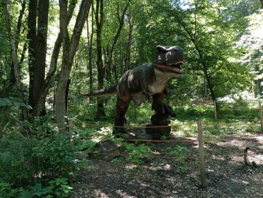 Lviv, Ukrayna, Lunapark 