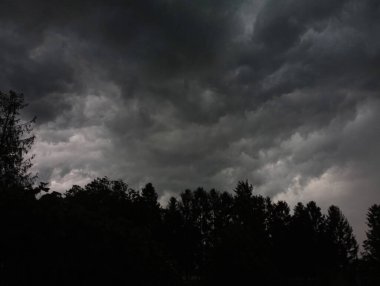 Ormanın üzerinde bulutlu ve fırtınalı bir gökyüzü. Siyah bulutlar gökyüzünü kararttı. Fırtına bulutları.