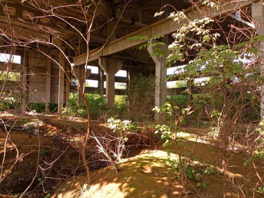 A large abandoned and overgrown industrial building. Bushes and plants in an unfinished and abandoned industrial hangar. clipart