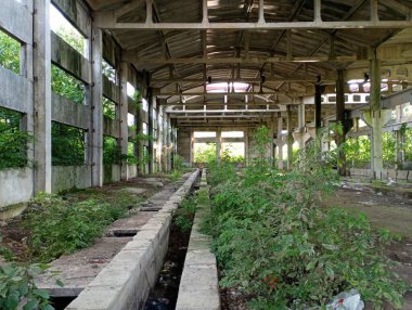 Yeşillik ve ağaçlarla dolu endüstriyel beton bir tesis. Endüstriyel büyük beton nesneler mimarisi ile güzel bir arkaplan.