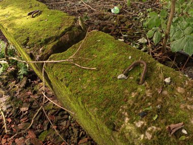 Eski beton bloklar yeşil yosun ile kaplıdır. Beton bloklu endüstriyel altyapı ve dokular.