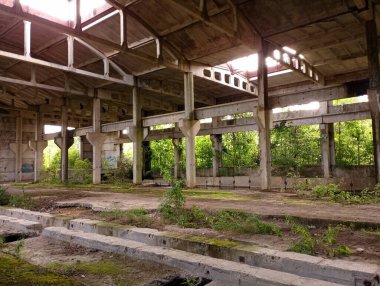 Eski endüstriyel atölye sık bir ormanda gizlidir. Eski bir işletmenin terk edilmiş binası. Ağaçlar ve çalılarla kaplı endüstriyel bir tesisin beton duvarları. Endüstriyel altyapılar ve manzaralar.