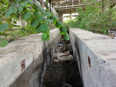 Terk edilmiş eski bir fabrikada çöplerle dolu uzun beton bir çukur. Endüstri ve terk edilmiş eski sanayi tesisleri konusu.
