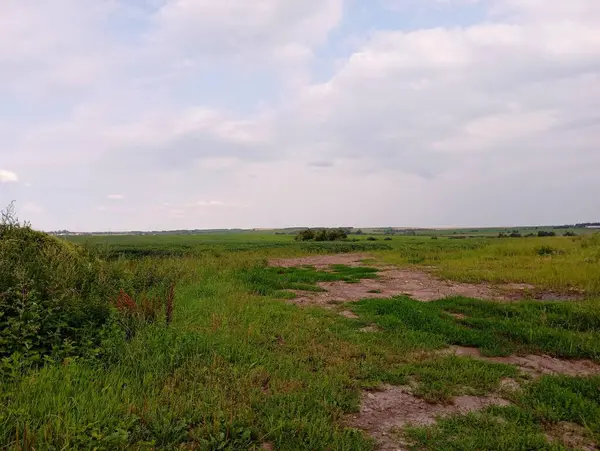 stock image Field summer landscape. A spacious grassy field in summer and a blue slightly cloudy sky.