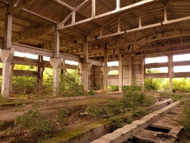 Terk edilmiş bir endüstri şirketinin beton gri duvarları. Çimen ve ağaçlarla kaplanmış büyük bir binanın eski bir harabesinin endüstriyel arka planında.