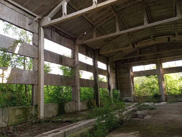 stock image An old destroyed building made of concrete blocks and slabs. Ruin of an industrial facility. The old premises of the factory workshop are overgrown with green trees and bushes.