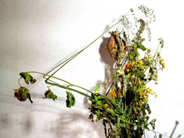 Beyaz, eski bir duvarın arkasında kurumuş bir buket yabani çiçek ve haşhaş..