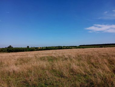 Düz bir çayırda, kuru çimenler ve açık mavi gökyüzü olan güzel bir arazi. Ufukta bir orman ve yeşil tarım ekinleri görülebilir.