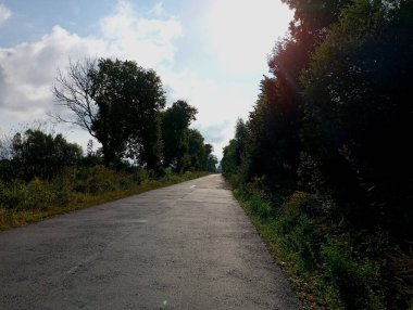 Linden Bulvarları arasında güzel düz bir asfalt yol. Yolun kenarında sıra sıra ağaçlar var. karayolu taşımacılığı ve seyahat konusu.