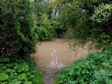 Nehirdeki sel sırasında yükselen bulutlu su. Kahverengi kirli suyla nehir manzarası.