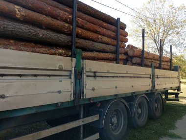 Çam ağaçlı bir kamyon dışarıda park halinde ve nakil için hazırlanıyor. Ormanların tahrip edilmesi ve inşaat için malzeme sağlanması konusu.