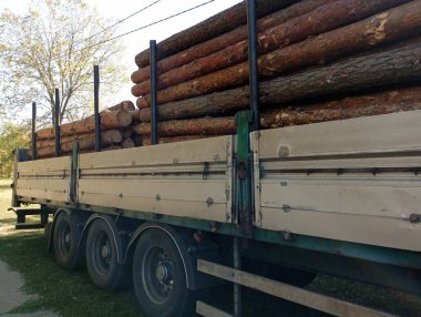 Büyük bir kamyonun römorku kozalaklı sandıkla dolu. Malların ve odunların taşınması konusu.