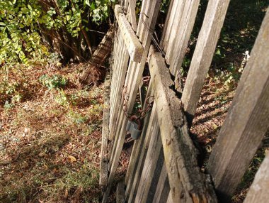 Old wooden picket fence with a lock on the gate. A damaged fence made of old wood.