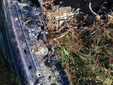 Eski araba yabani otlarla kaplanmış. Çöplükte eski nakliye araçlarının kalıntıları. Bitkilerle kaplı hurda metal..