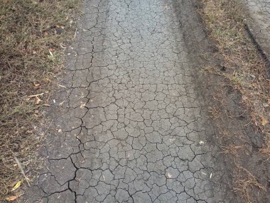 A dirt path in a black soil field is covered with cracks from the drought. Drought in the field. Soil surface texture from lack of moisture. clipart