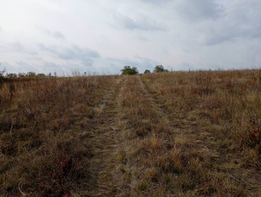 Yol kuru otlarla kaplanmış bir tarladan geçer ve bir tepeye tırmanır. Tarlada sonbahar manzarası.