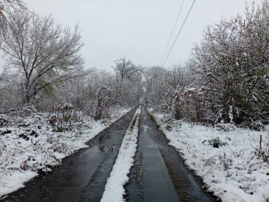 Düz bir beton yol soğuk karla kaplıdır. Ağaçların arasındaki yol ince bir kar tabakasıyla kaplı..