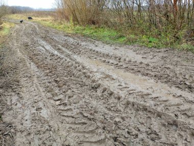 Toprak yol ağır taşıma izleri ile kaplı. Üzerinde iki siyah köpeğin yürüdüğü toprak arazi yolu nakliye tekerlerinin parmak izleriyle kaplı..