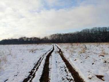 Toprak arazi yolu ormana doğru gidiyor. Kardaki izler, kış ormanına giden araçtan geliyor..