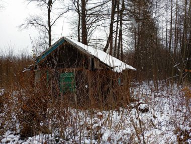 Eski harabe ormandaki ormancının evi ağaçların arasında beyaz soğuk karla kaplıydı. Ormanın en yoğun yerinde harap olmuş eski ahşap bir ev. Kışın ormanda bir evi olan güzel bir manzara..