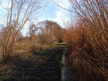Sonbahar toprak yolu ve yolda büyük bir bataklık. İki sıra çalı arasında uzanan toprak bir arazi yolu. Çok kötü bir yol..