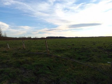 Çimenli büyük yeşil çayır, gerilim altında bir telin gerildiği eski ahşap direklerden oluşan bir çitle çevrili. Geniş bir çayırda güzel bir manzara..