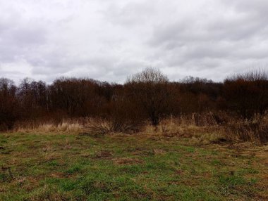 Mavi gökyüzünün altında çıplak ağaçlar olan sonbahar ormanı. Ufukta ormanlar, çalılar ve ağaçlarla dolu güzel bir manzara..