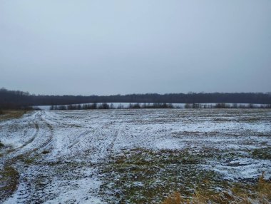 Winter landscape in cloudy weather on a spacious meadow with a winter forest visible on the horizon against a gray sky. clipart