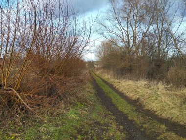Baharda çalılar ve ağaçlar arasında tarlada toprak bir yol. Düz bir yol ve yerde işaretli araç izleri var..