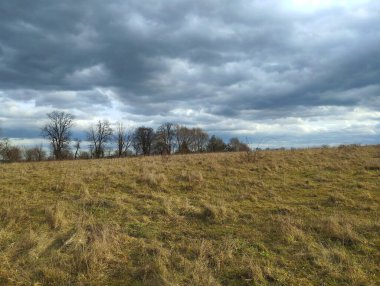 Çimenli bir çayırda, bulutlu mavi bir gökyüzünün altında bahar manzarası. Ufukta küçük bir ağaç ve dikenli çalılar görünüyor..