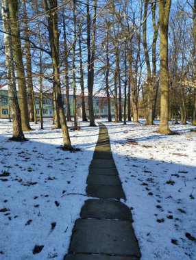 Kış parkından geçen beton bir patika renkli yüzlü büyük bir binaya çıkıyor. Kış Parkı manzarası.