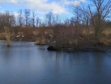 Landscape on a small pond covered with a thin layer of ice. Near the shores, dry reed stalks are visible from the water. clipart