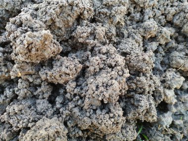 Gevşek toprağın arka planı. Köstebek tarlada gevşemiş kara toprak.