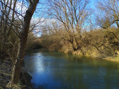 Baharda güzel, küçük bir nehir ve kıyılarında büyük, çıplak söğütler. Güzel, sakin, temiz bir nehir, sakin bir akıntı ve geniş bir kıyısı var..
