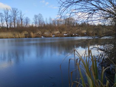 Gökyüzünü ve çalıları yansıtan berrak suyu olan güzel bir kaynak göleti..