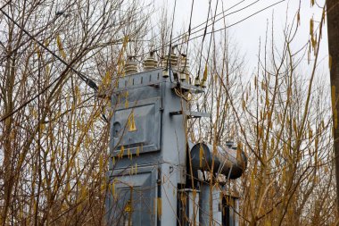 Yoğun çalılıklarda elektrik transformatörü. Konut binalarına elektrik ve elektrik tedariği konusu.