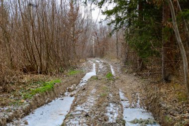 Fotoğraf, ormanın içinden geçen bir yolu gösteriyor. Yol kısmen kar ve buzla kaplı, bu da kış mevsimini gösteriyor. Yolun her iki tarafındaki ağaçlar yapraksız, çırılçıplak duruyor.. 