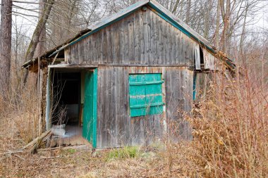 Görüntü ağaçların ve kuru otların arasında eski bir ahşap barakayı gösteriyor. Kulübe eski ve bakımsız görünüyor. Çatlak tahtaları ve kısmen eksik bir çatısı var. Kulübe kapısı açık, çeşitli ögelerin depolandığı iç alanı gösteriyor.