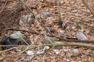Yere dökülen yapraklarla kaplı, çöp saçılmış: plastik şişeler, torbalar. Ağaç dalları birbirine dolanır, karışıklığı vurgular..