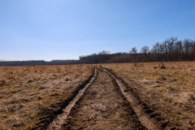 Yol, kuru çimenler ve çamurdan geçen araçların tekerleklerinin bıraktığı iki farklı ize sahiptir. Alan kahverengi ve sarı, kuru havayı gösteriyor..