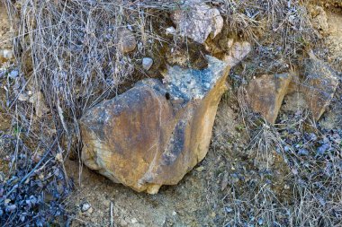 Kuru ot ve dalların arasında yerde yatan bir taşın yakın çekimi. Taşın düz olmayan bir yüzeyi ve griden kahverengiye kadar çeşitli renkleri vardır..