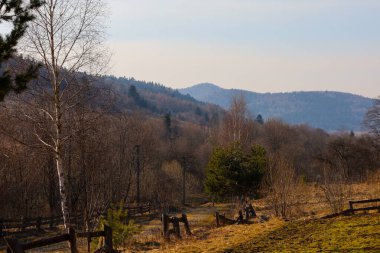 Karpatlar 'da sıcacık bir manzara. Ön planda, ormanda kaybolan bir yola çıkan tahta bir çit var..