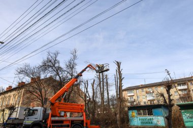 Sambir, Ukrayna, - 12 Mart 2025: Ön planda, bir işçinin ağaç dallarını budadığı platformda yükseltilmiş bir hava platformu var.