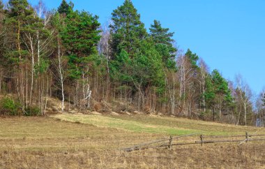 Bu fotoğraf yamaçta ormanlık bir dağ manzarasını gösteriyor. Orman, çeşitli yeşil paletler oluşturan kozalaklı ve yapraklı ağaçlardan oluşur..