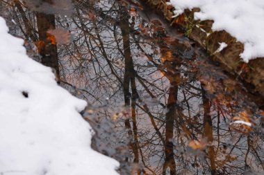 Fotoğraf, kısmen karla kaplı bir su birikintisinde bir kış ormanının yansımasını yakalıyor..